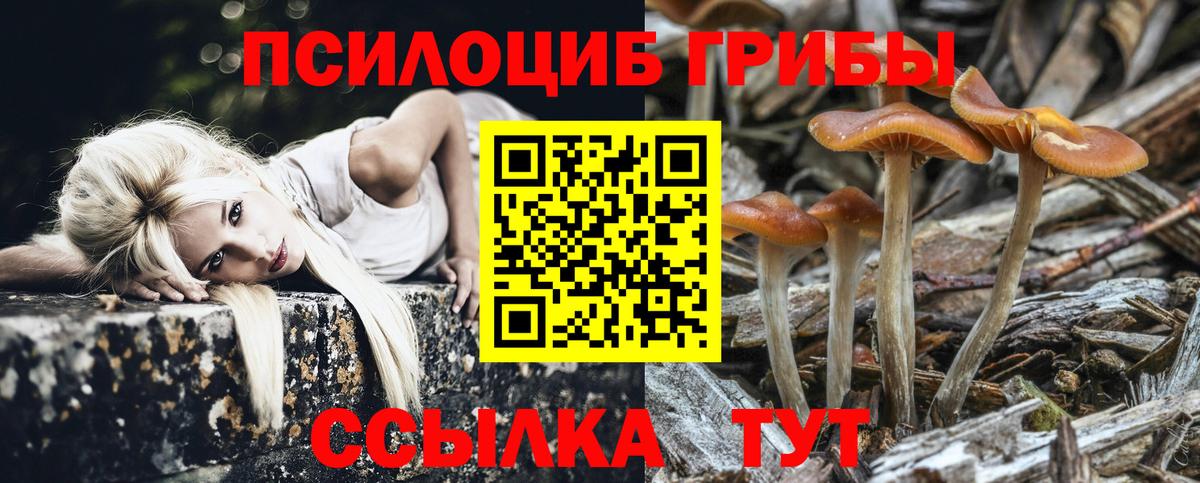 Галлюциногенные грибы MAGIC MUSHROOMS Кондопога
