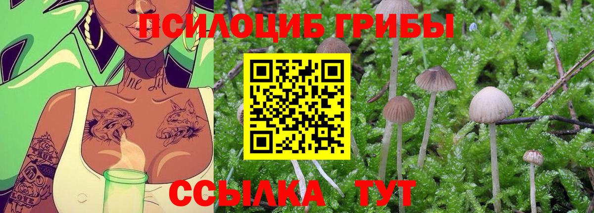 Псилоцибиновые грибы Cubensis  Вход с VPN  Псилоцибиновые грибы Psilocybine cubensis  Кондопога 